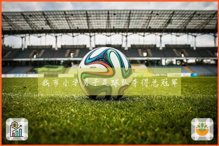 我市小学男子足球队夺得总冠军